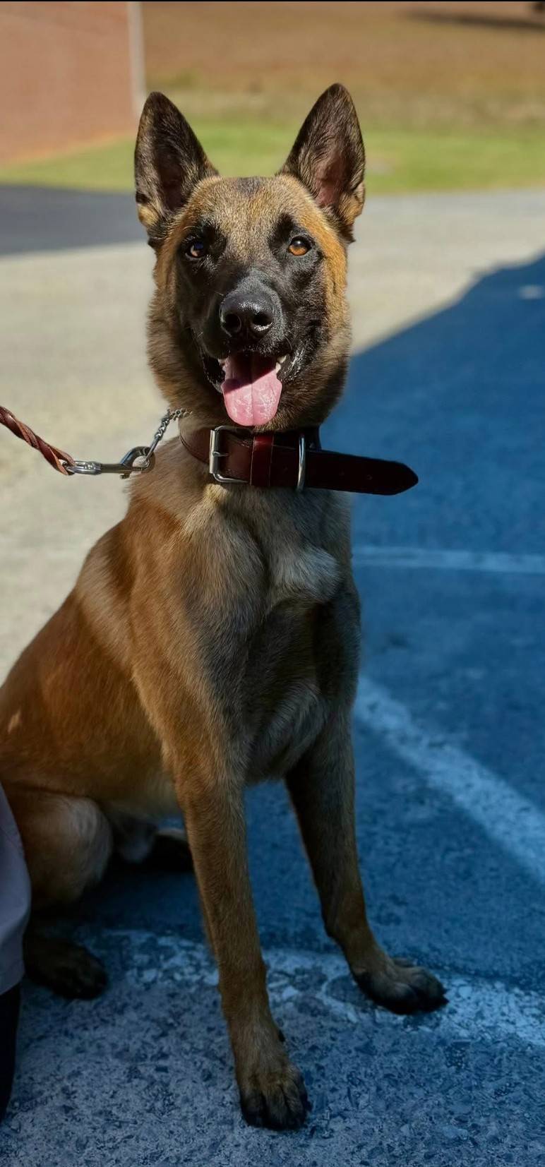 thumbnail_IMG_7348 - Copy